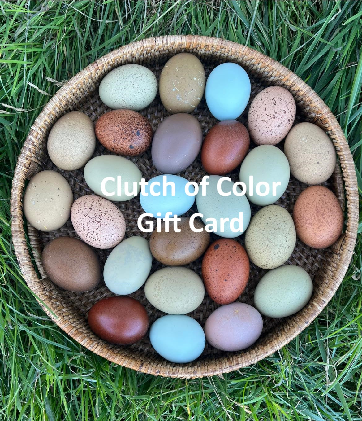 Clutch of Color Gift Card