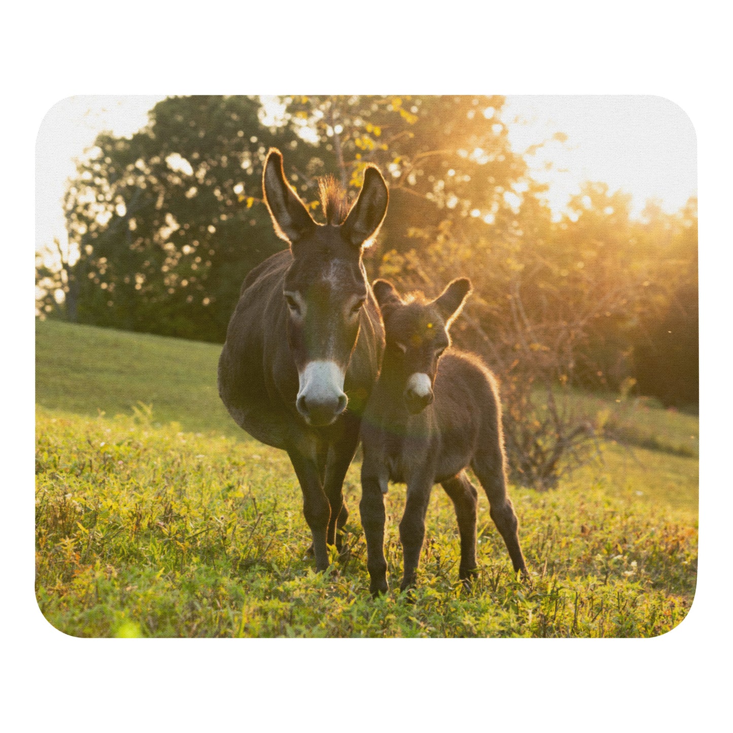 Sadie and Daisy mouse pad