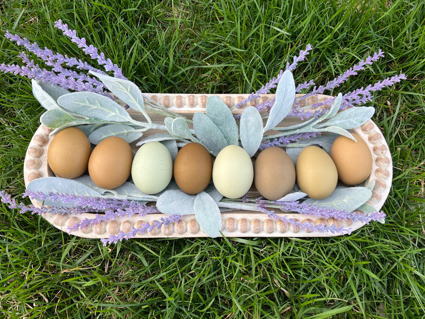 Multigenerational Olive Eggers- Shipping Included