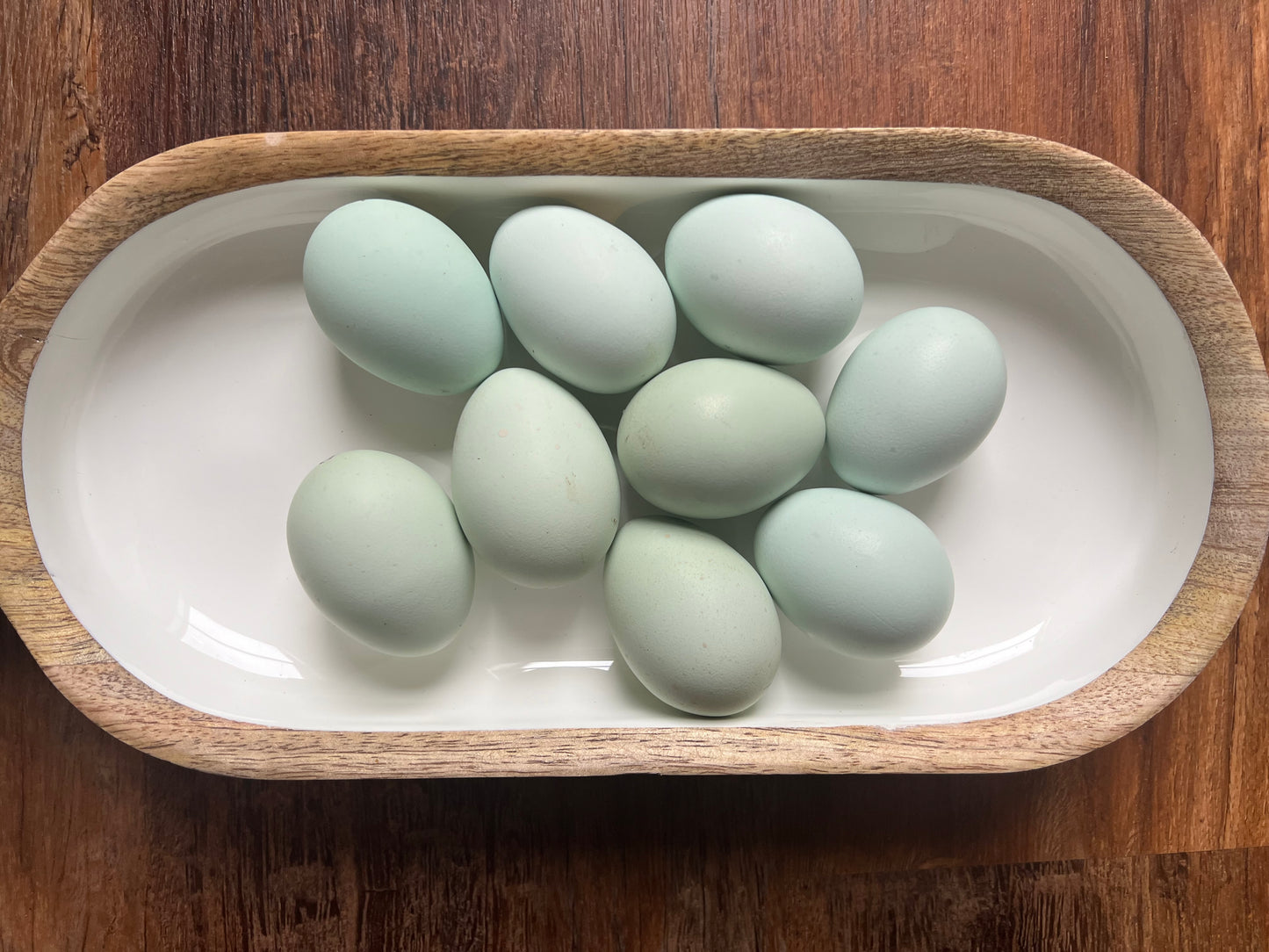 Ermine Ameraucana Hatching Eggs