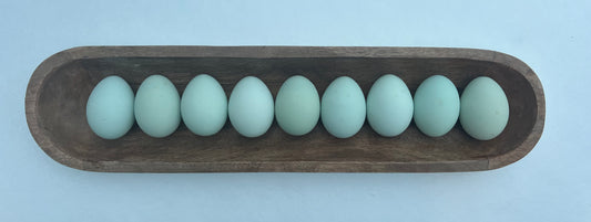 Ermine Ameraucana Hatching Eggs