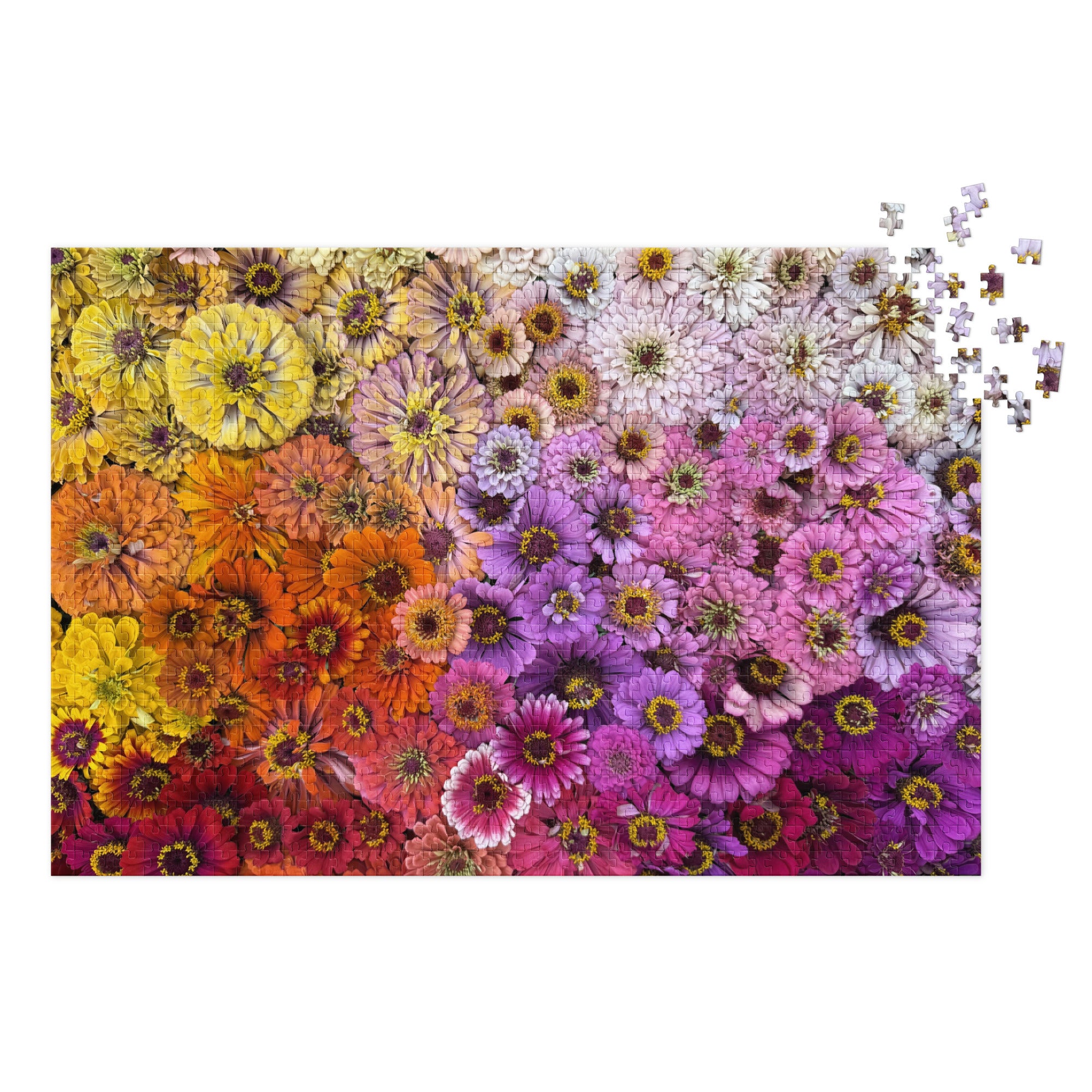 Zinnia Flower Puzzle- 1000 pieces – ClutchOfColor