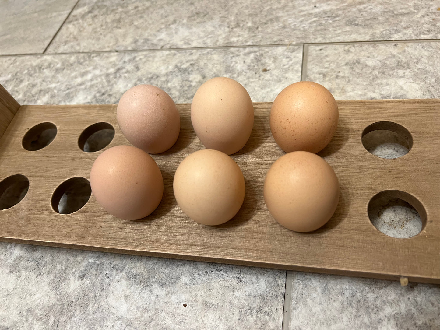 Bresse Hatching Eggs